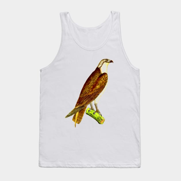 hawk,bald eagle,falcon,golden eagle,birdie,bird Tank Top by vabontchi